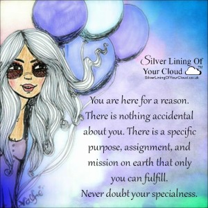 You are here for a reason. There is nothing accidental about you. There is a specific purpose, assignment, and mission on earth that only you can fulfill. Never doubt your specialness. ~Mandy Hale 
