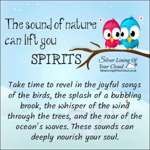 The sounds of Nature can lift your spirits... Take time to revel in the joyful songs of the birds, the splash of a bubbling brook, the whisper of the wind through the trees, and the roar of the ocean's waves. These sounds can deeply nourish your soul. 