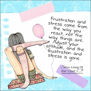 Frustration and stress come from the way you react, not the way things are. Adjust your attitude, and the frustration and stress is gone. 