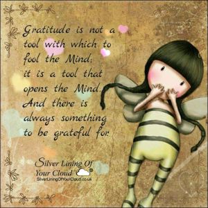 Gratitude is not a tool with which to fool the Mind; it is a tool that opens the Mind. And there is always something to be grateful for. 